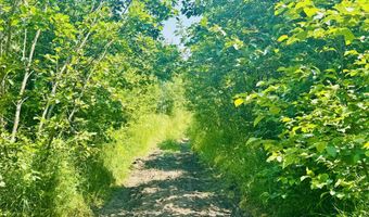 Macey Lane, Alpena, MI 49707