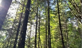 Nowakowski Rd, Banks, OR 97106