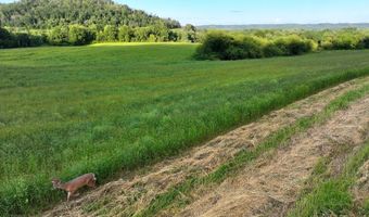 TBD Bear Pen Rd, Arkansaw, WI 54721