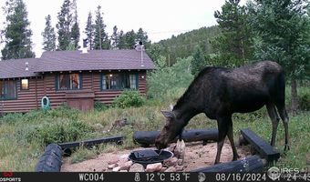84 County Road 113 S, Allenspark, CO 80510