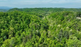 Tbd Green Springs Road, Abingdon, VA 24211
