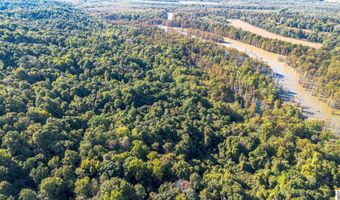 County Road 1320 lot Between County Roads 1324, Bardwell, KY 42023