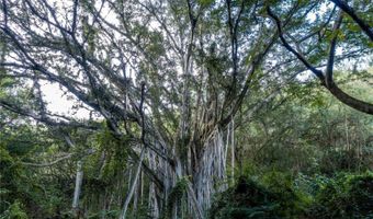 Kamehameha Highway lot 38, Haleiwa, HI 96712