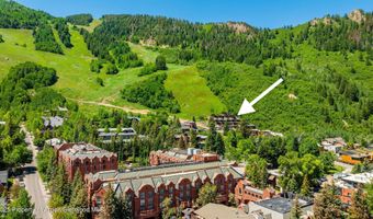 809 S Aspen St 8, Aspen, CO 81611