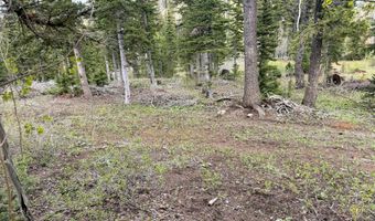 646 W Ski View Dr, Brian Head, UT 84719