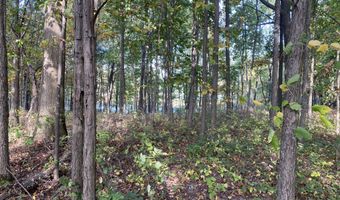 9540 Vincent Ave SE, Alto, MI 49302