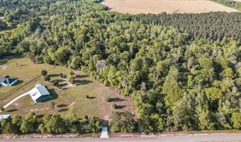 0 Bruner Pond Rd, Ashford, AL 36312