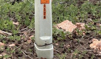 1272 N Aspen Rd, Brian Head, UT 84719