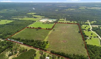 7009 129 Hwy, Bell, FL 32619