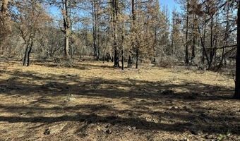 Hummingbird Drive, Bonanza, OR 97623