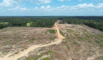 SE Cole Drive, Bogue Chitto, MS 39629