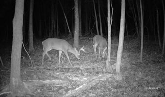 9888 Salem Rd, Athens, OH 45701