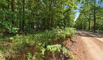 210 County Road 320, Alton, MO 65606