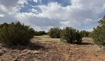 291 County Rd 8052, Concho, AZ 85924