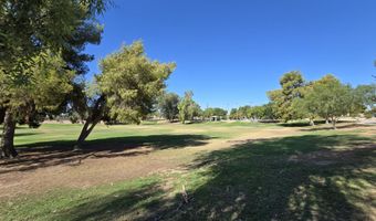1309 W CALLE DEL NORTE, Chandler, AZ 85224