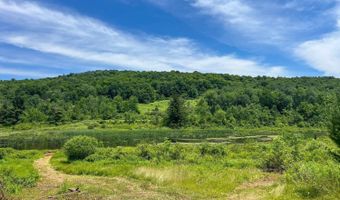 Woodland Hills Road, Andes, NY 13731