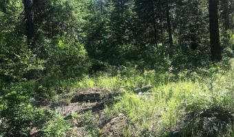 41 Quiet Hts, Athol, ID 83801