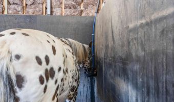 356 W Oak Grove Rd NW, Adairsville, GA 30103