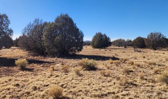 251 Se4 Juniperwood Rnch, Ash Fork, AZ 86320