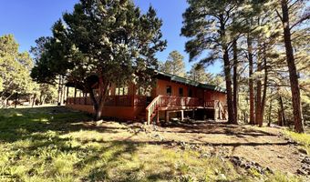 102 Pine Cone Ln Lot 45A, Alto, NM 88312