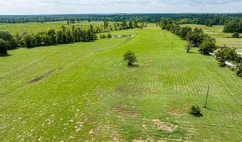 R57191 Duke Road, Apple Springs, TX 75847