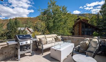 1154 E Cooper Ave B, Aspen, CO 81611