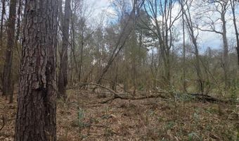 U.S. Highway 51, Bogue Chitto, MS 39629