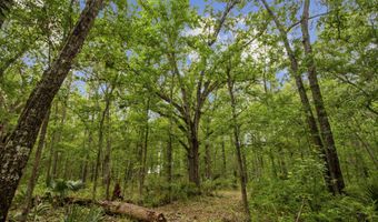 4848 Woodville Rd, Awendaw, SC 29429
