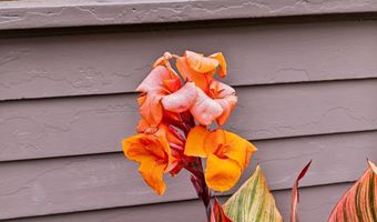 1827 Santa Clara Ave, Alameda, CA 94501