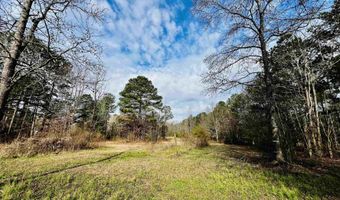 411 LAUNCH Dr, Ashville, AL 35953