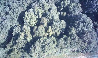 77 Acres Main St, Altoona, AL 35952