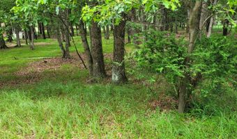 203 Foothill Rd, Albrightsville, PA 18210