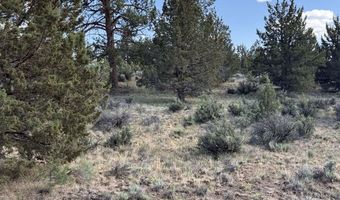 HWY 140 300, Beatty, OR 97621