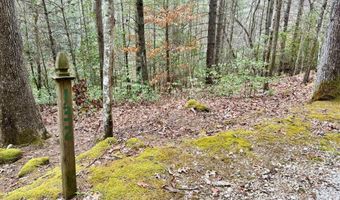 Lot # 133 Peaceful Valley Rec Retreat, Beattyville, KY 41311