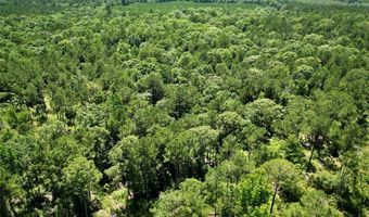 000 William Colvin Rd, Bernice, LA 71222
