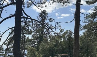 636 Mountain Center 35-0002, Mountain Center, CA 92561