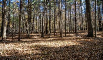 Lot 33 S Badger Lane, Arkdale, WI 54613