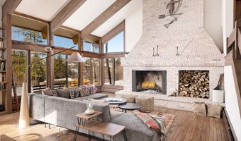 1036 Red Mountain Rd, Aspen, CO 81611