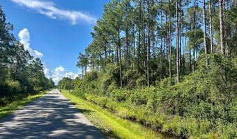 Peachtree Rd lot 68N, Apalachicola, FL 32320