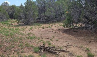 Birdwing Lane, Clay Springs, AZ 85923