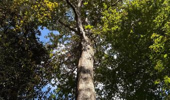 971 Somerset Rd SE, Bogue Chitto, MS 39629