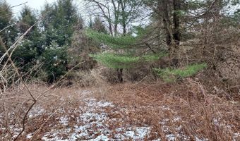 8 Times Farm Rd, Andover, CT 06232