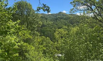 V/L Wolf Crossing, Bakersville, NC 28705