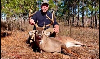 Highway 112, Abbeville, GA 31001