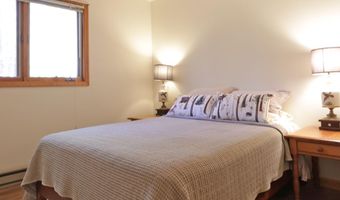 105 Pine Ln, Adirondack, NY 12808