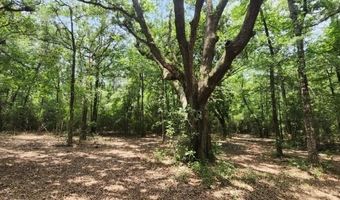 0 Peapatch Rd, Biloxi, MS 39532