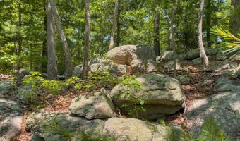 151 Stoneybrook Rd, Amherst, VA 24521