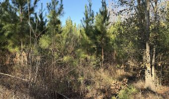 Delancey Road, Braxton, MS 39044