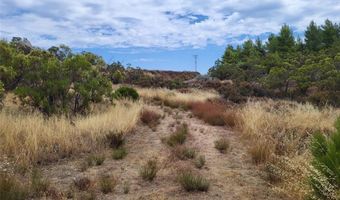 1007 Roan Way, Aguanga, CA 92536