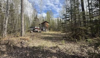 19396 N Fish Lake Rd, Chickaloon, AK 99674